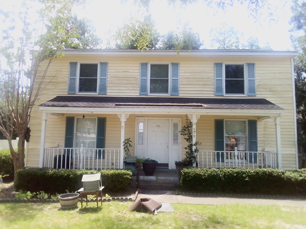 Before - algae siding