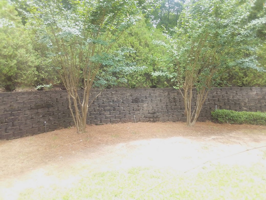 Before - dirty wall